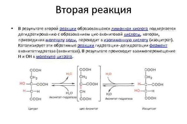 Рабочие ссылки на кракен 2025