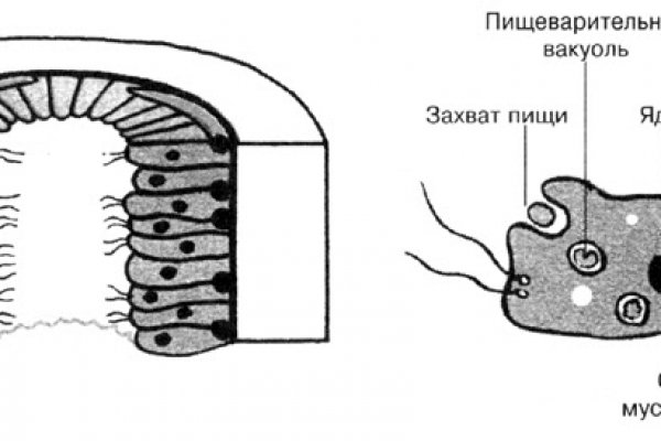 Кракен ссылка тор